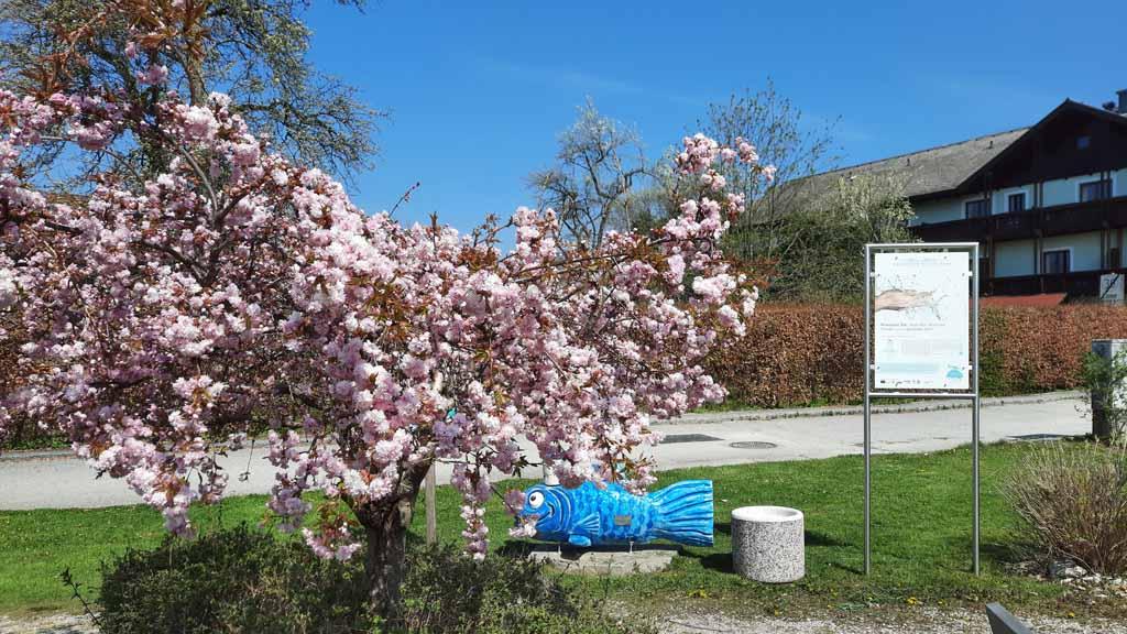 Fruehling bei Perla