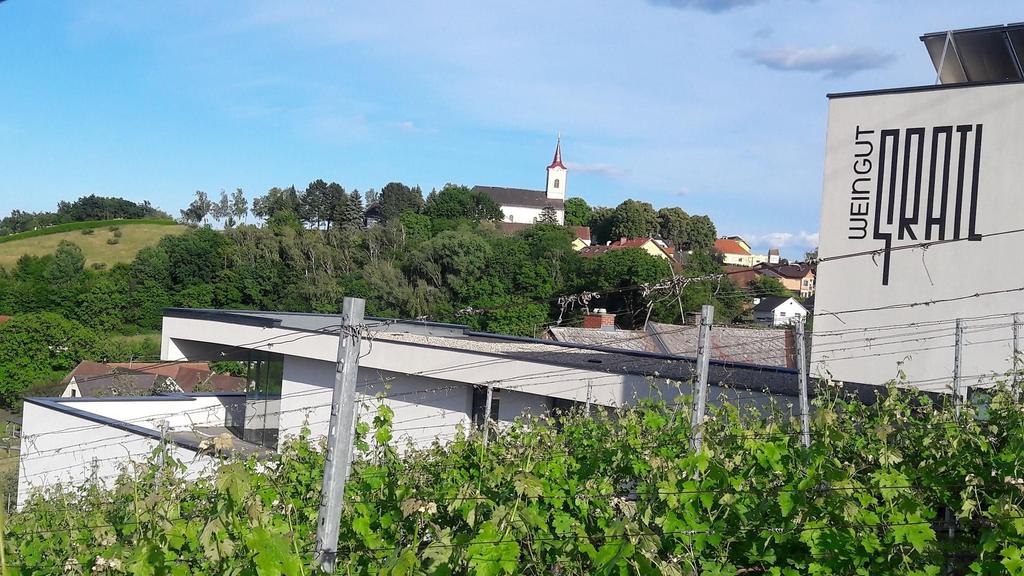 Panorama Weingut