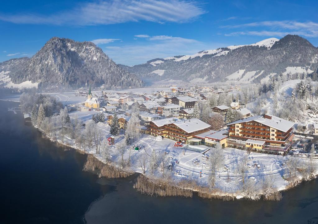 Bellevue Winter