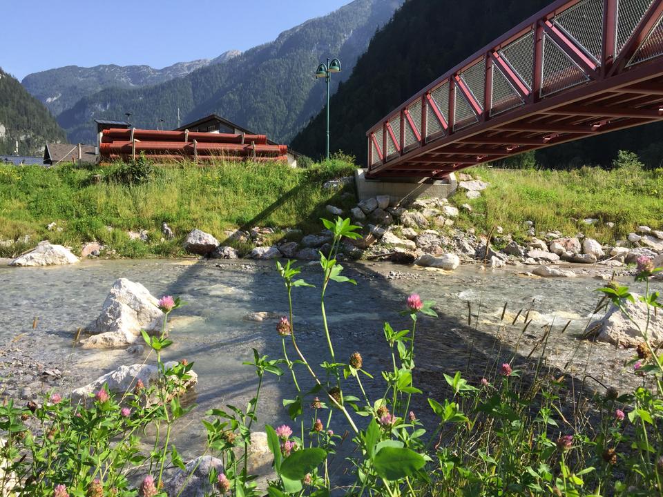 Wildes Baden Neuer Bach Weißbach