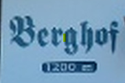 Logo Berghof_OnlineMeldung