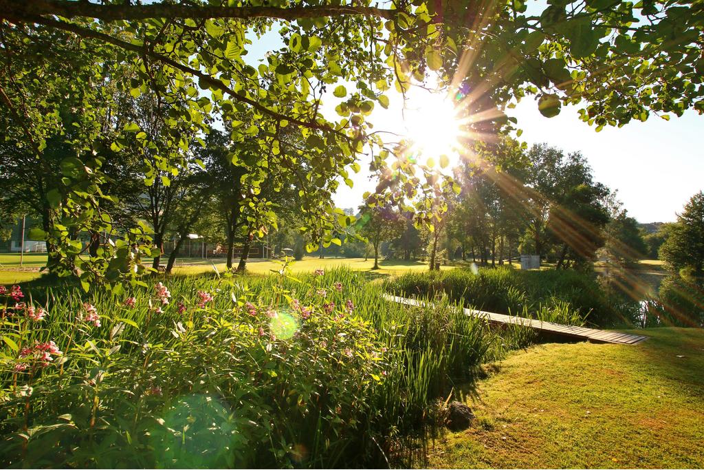 Campingmöglichkeit mit Sonne