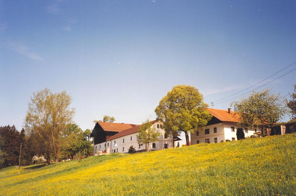 unser Hof im Sommer