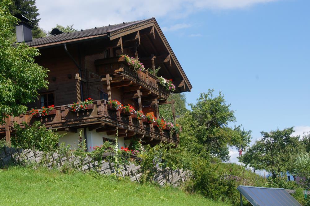 taxbauer-sommer1
