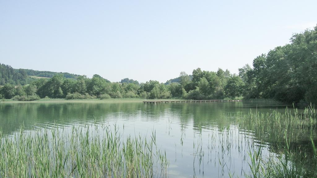 Alpenvorland_Mattsee