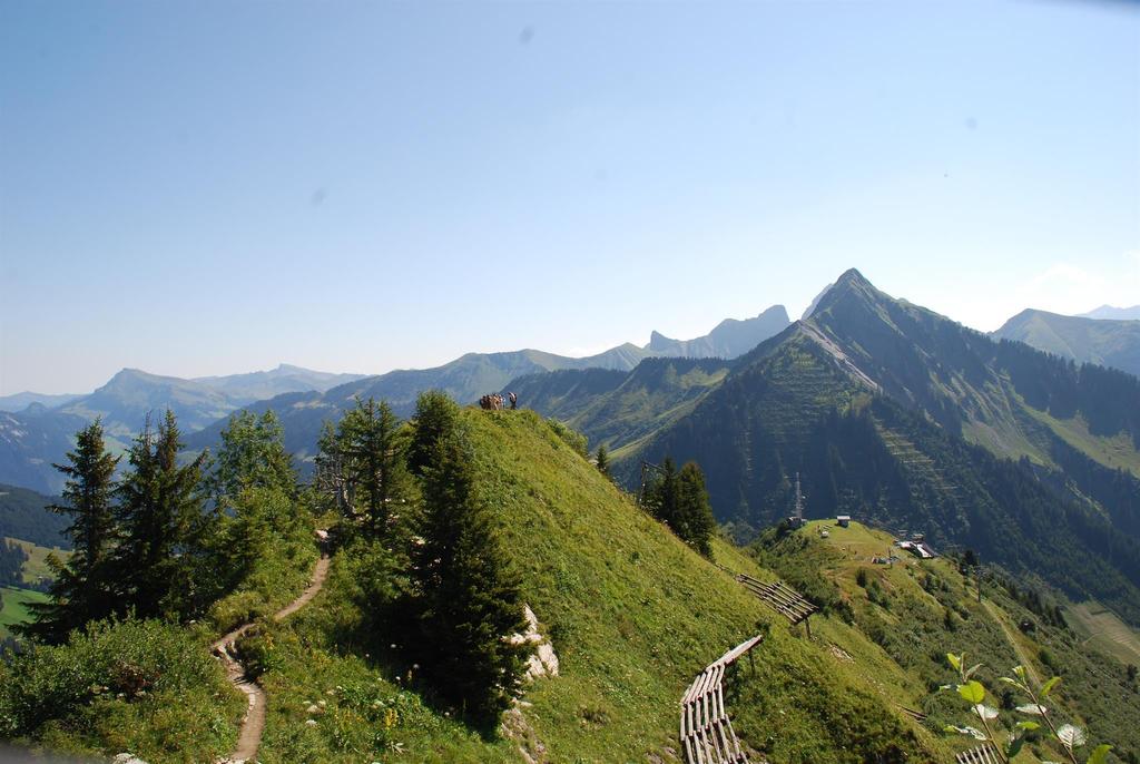 Geführte Blumen-Lehrpfad-Wanderung