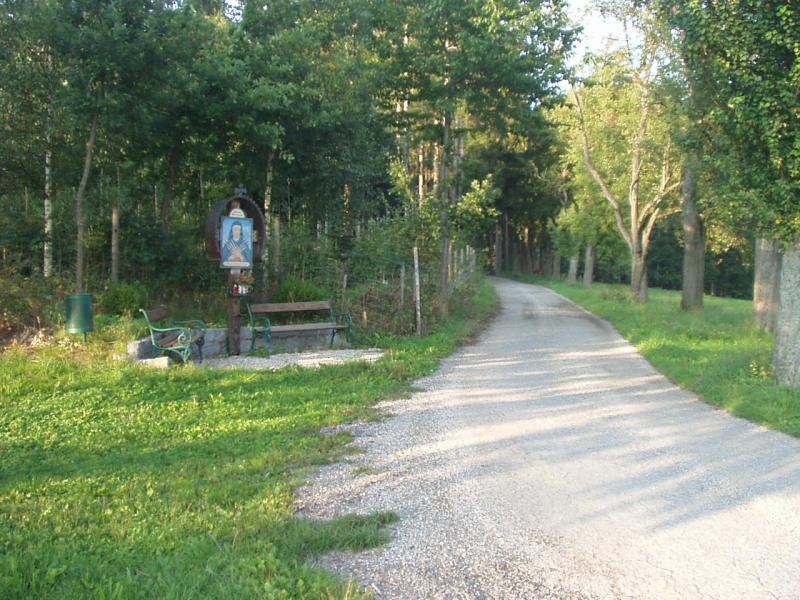 Wanderweg - Alpenblickweg