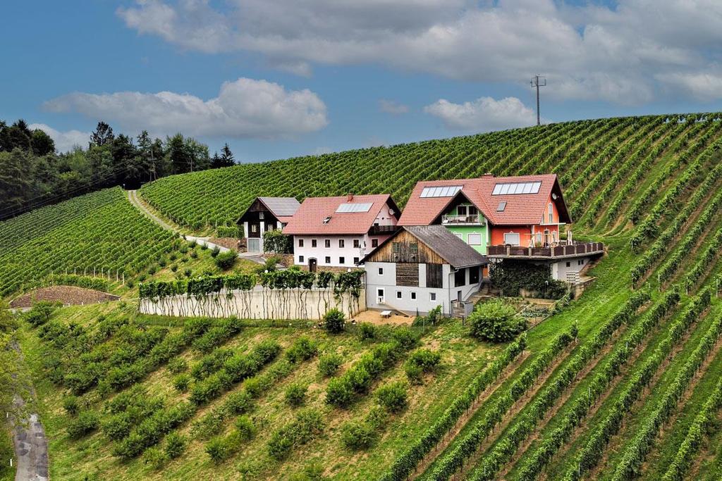 Kogelhohl