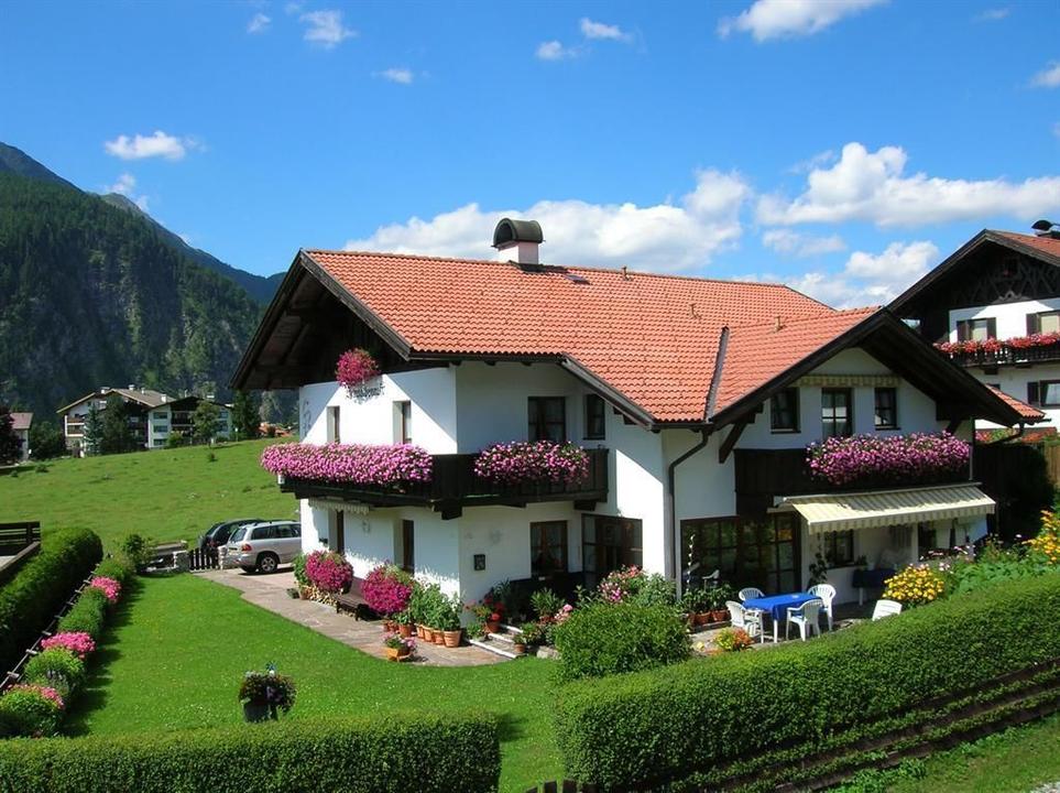 Schwalbennest Sommer
