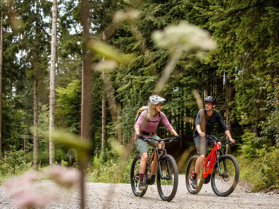 E-Bike