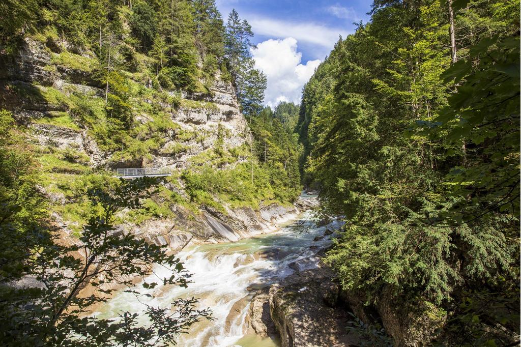 Tiefenbachklamm Brandenberg
