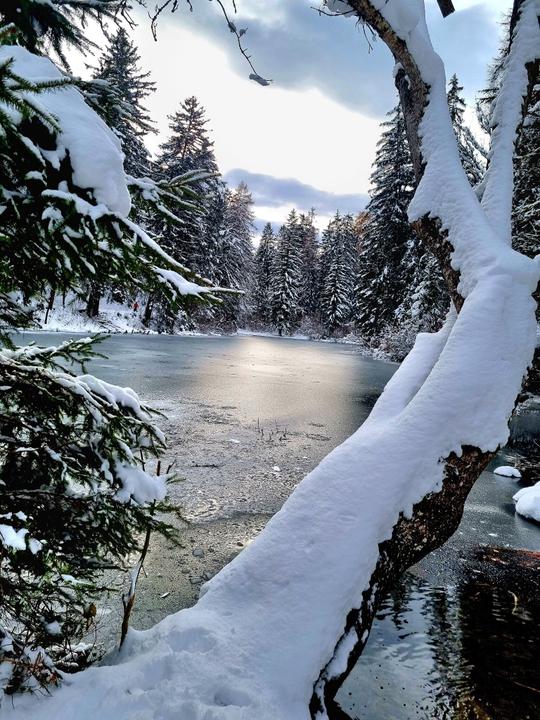 Starkenbergersee (6).jpg