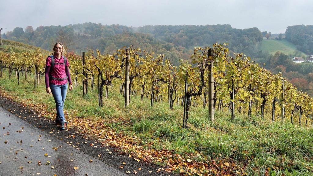 Wir wandern am Höhenrücken entlang