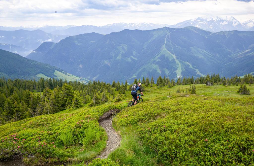 trail