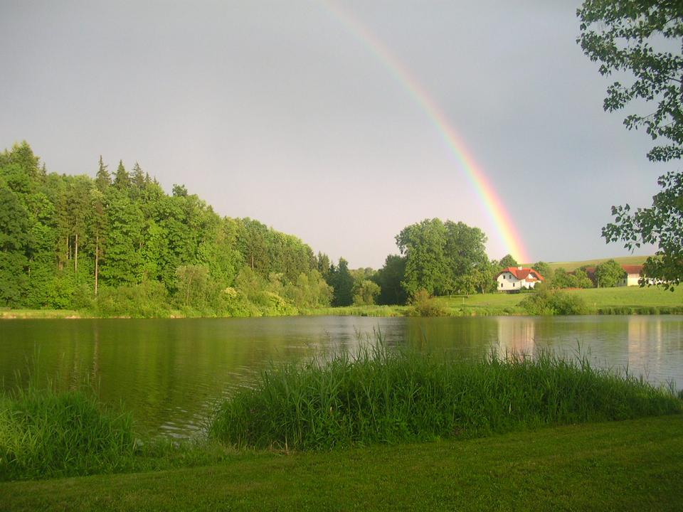 DSCN4398