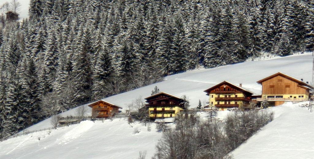 Stadlleiten Winter
