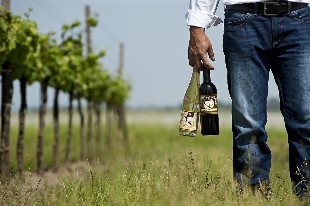 Weingut Haider