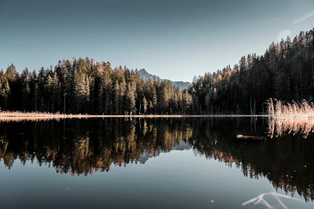 Amberger See