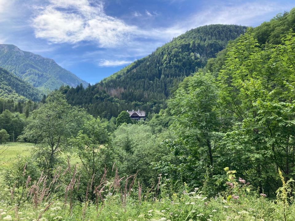 Ausblick auf Forsthaus