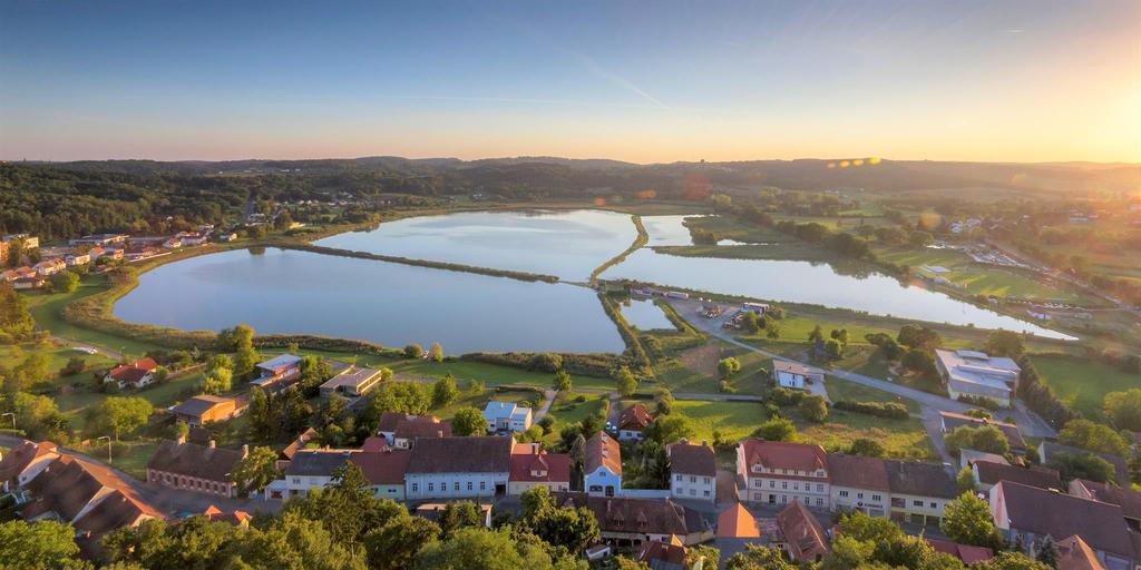Güssinger Fischteiche