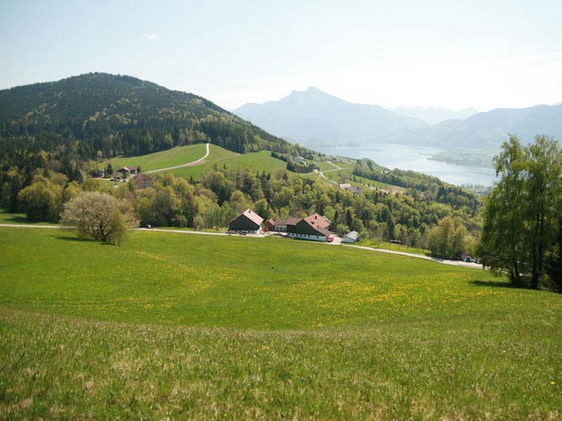 Tannenweg