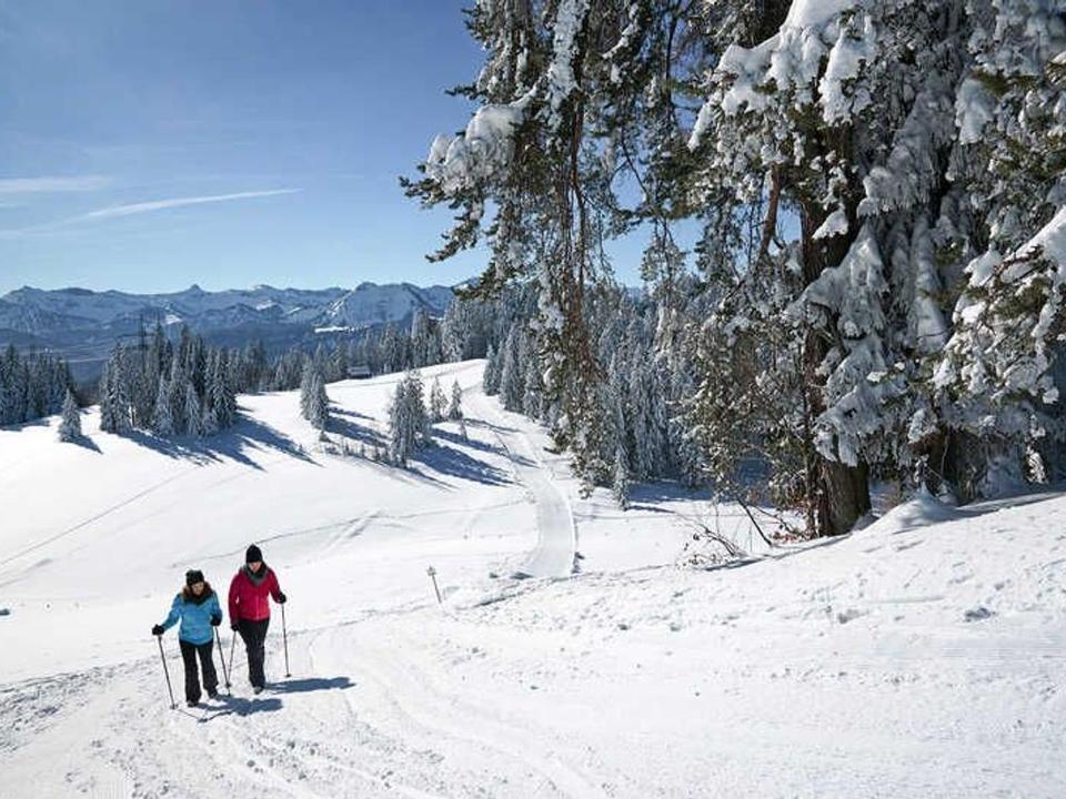 Winterwandern am Brüggelekopf in Alberschwende
