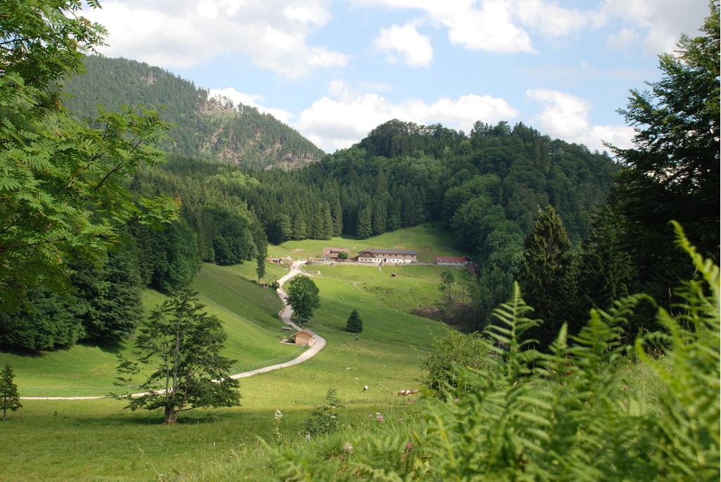 Alm Landschaft