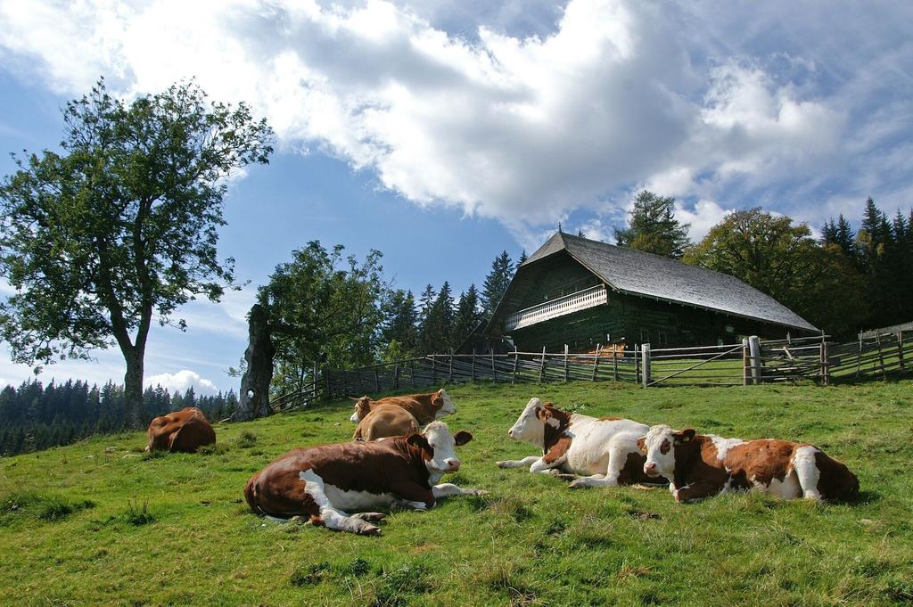 Peter Roseggers Geburtshaus mit Sommerweide