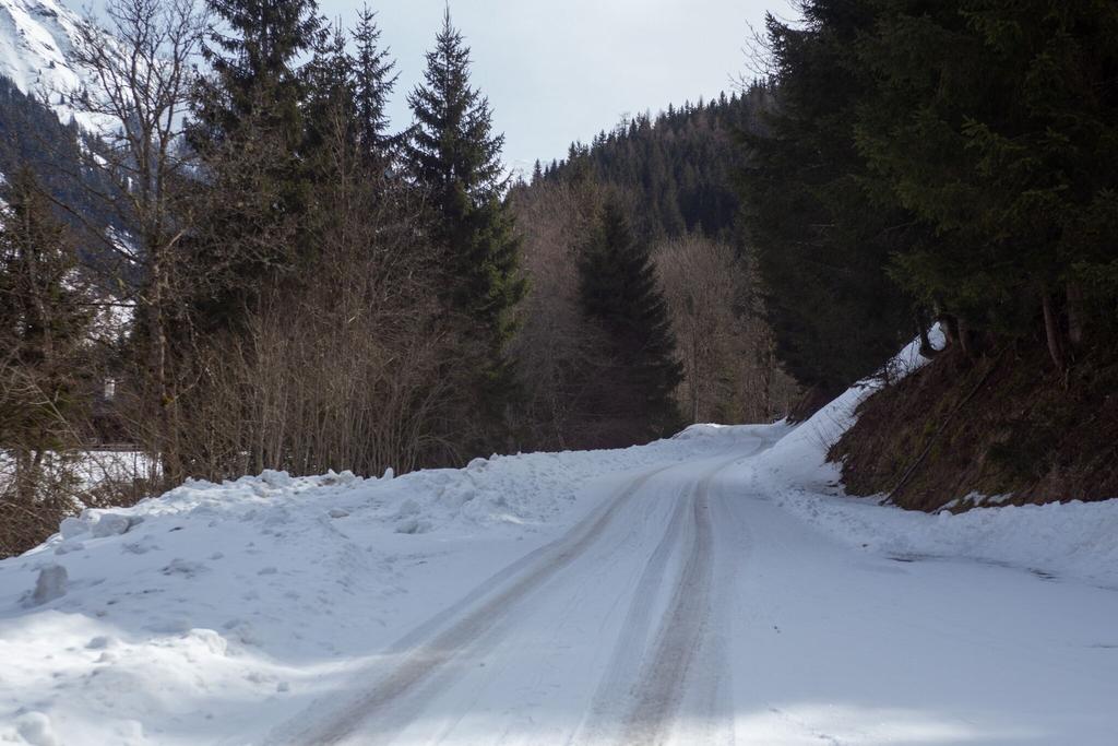 Der lange Weg beginnt ...