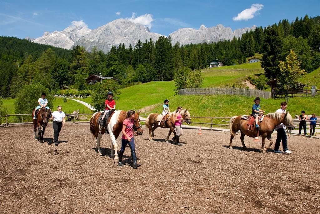 Kniegut Reiten