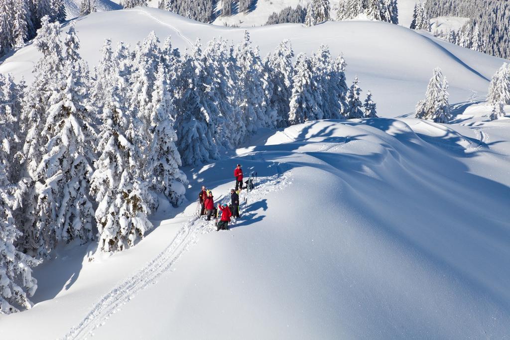 Skitour