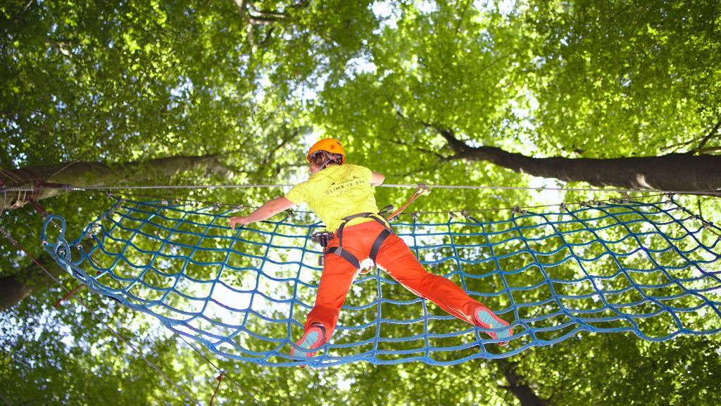 Kletternetz im Kletterwald Hilmteich