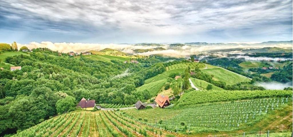 Sausal
