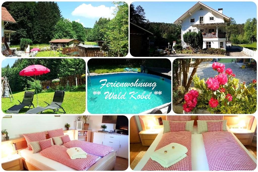 Collage Wald Kobel