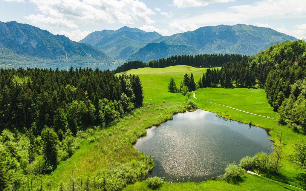 Naturschutzgebiet Egelsee in Unterach am Attersee