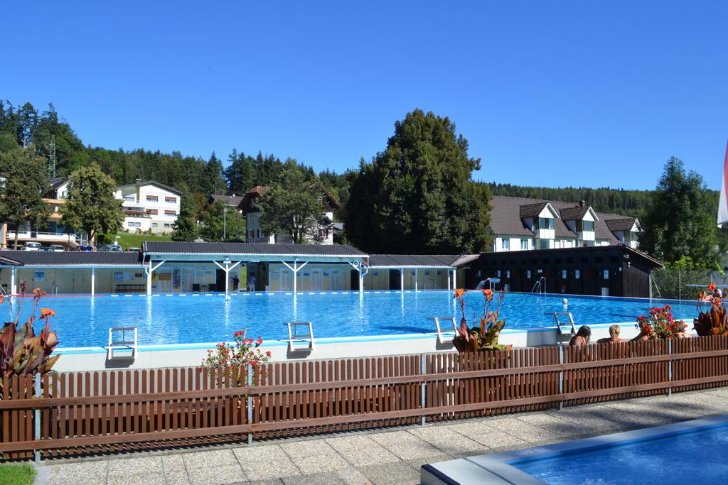 Schwimmbad Felsenau
