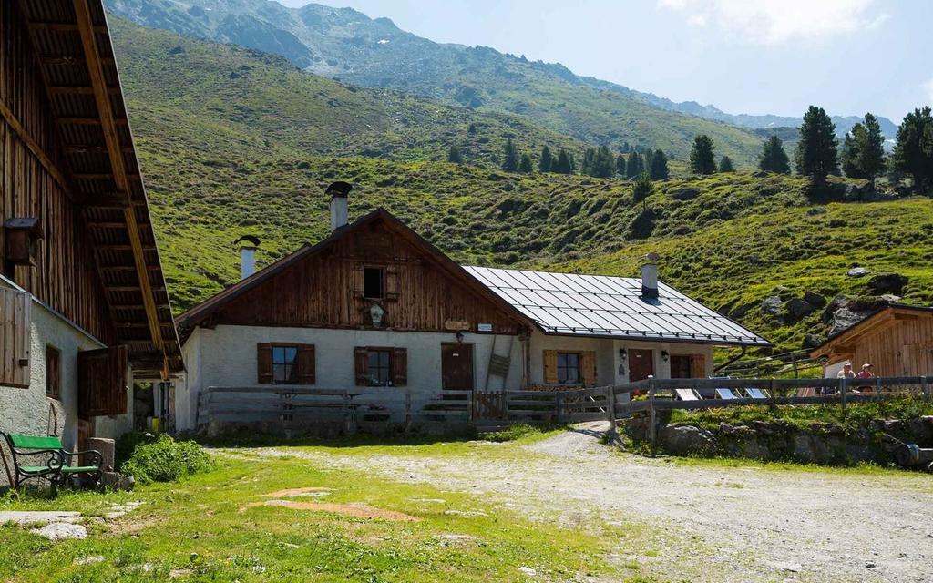 juifenalm.jpg