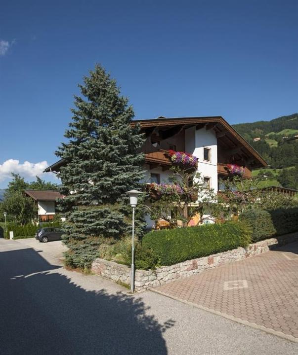 Alpenrose in Ramsau im Sommer