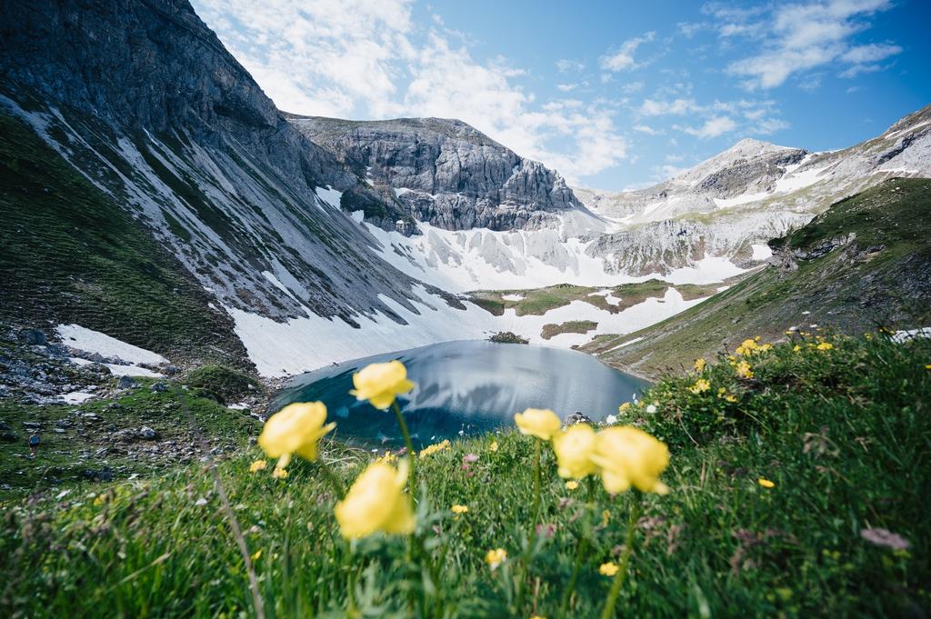 Wildsee