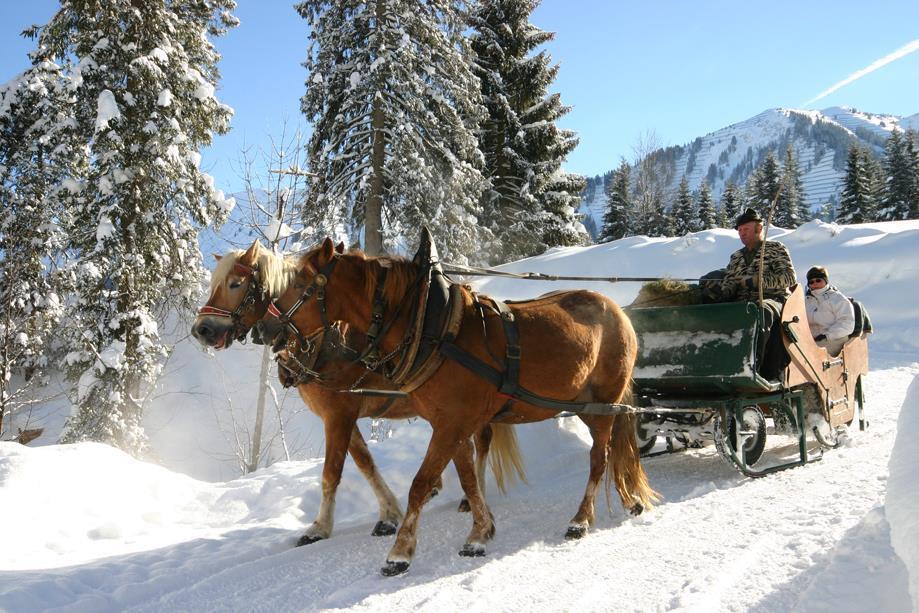 Pferdeschlittenfahrten Otto Berwanger Riezlern