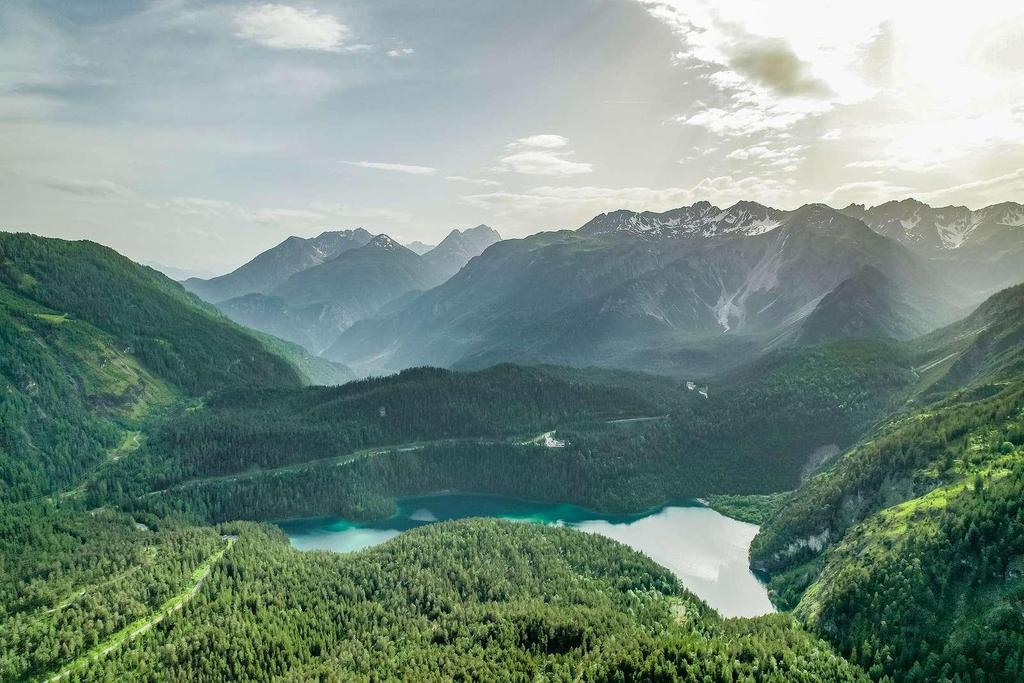Blindsee 1