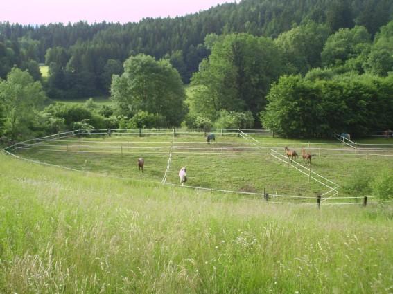 Reiterhof Angererhof
