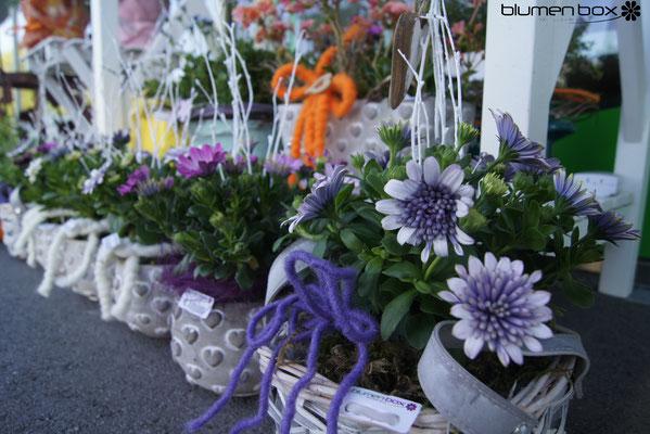 Blumen_Blumenbox