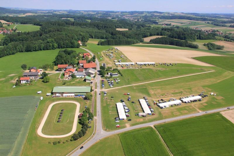 IslandpferdeLichtegg