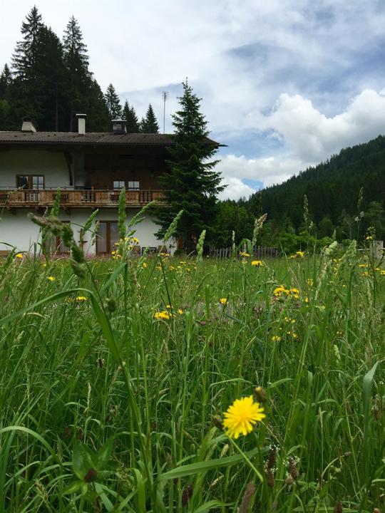 Fürstalm Alpendorf ApartmentSommer1