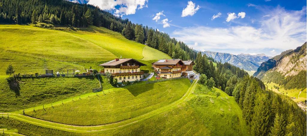 20210812_NeuhausAussenDrohne_022-Pano_klein(1)