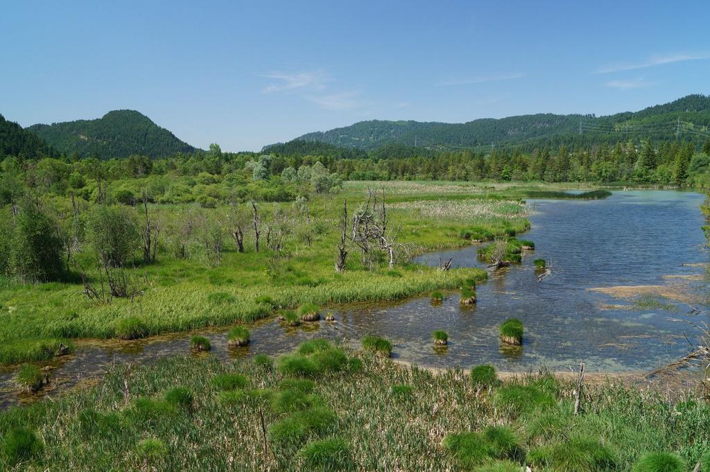 naturparktirolerlech_pflacher_au_7.JPG