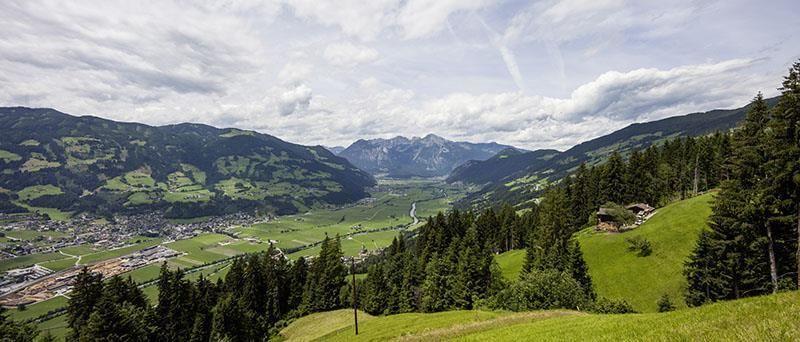 Panorama