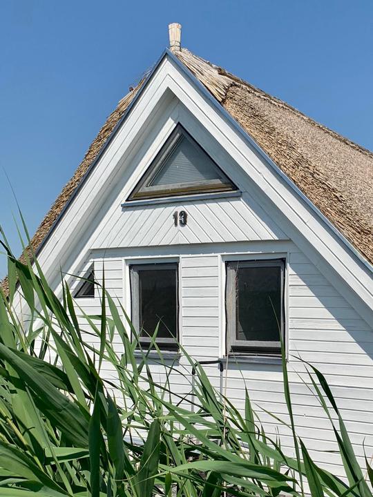 seehuette-neusiedlersee