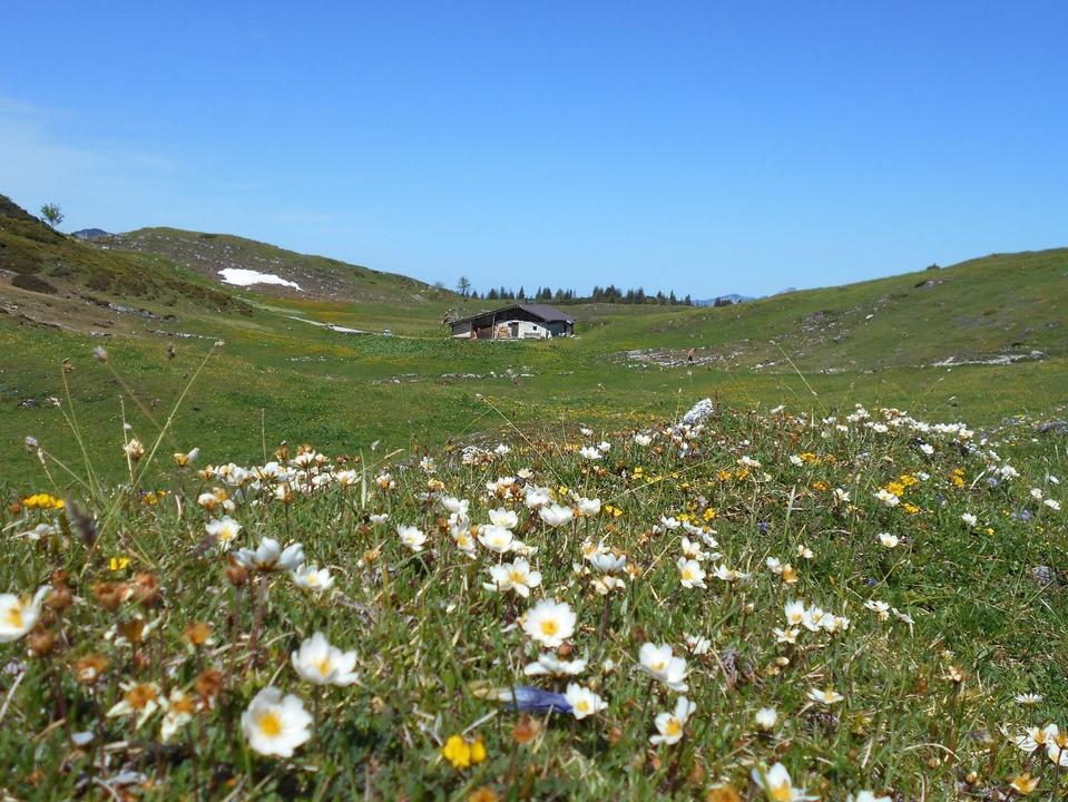 Steinplatte Fellhorn Straubingerhaus © Petra Astner (7).jpg
